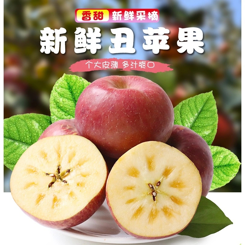 正宗丑苹果冰糖心大凉山苹果新鲜水果当季四川斤盐源红富士洛川果