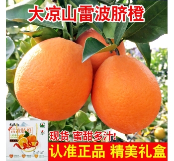 正宗四川大凉山雷波脐橙10斤大果整箱新鲜水果应季甜顺丰礼盒