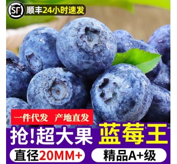 云南蓝莓新鲜当季水果蓝梅鲜果高山怡颗甜蓝莓8大果批发一件代发
