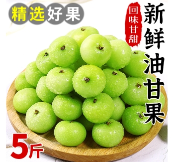 新鲜油甘果5斤余甘果牛甘子当季现摘油柑滇橄榄孕妇酸甜水果包邮