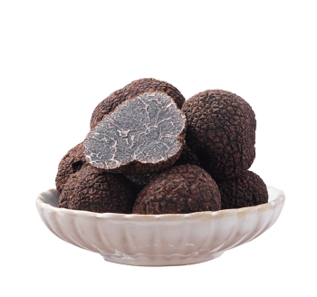 新鲜黑松露成熟野生正宗云南特产特级新鲜白松露菌菌菇块菌猪拱菌