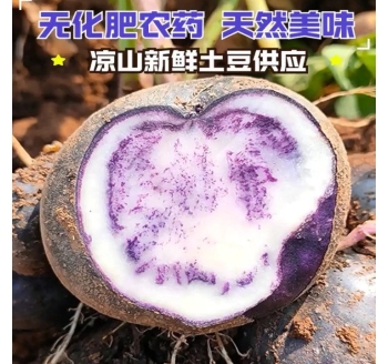 新鲜七彩乌洋芋土豆10斤包邮现货农家高山迷你紫色小马铃薯