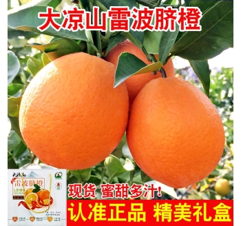 正宗四川大凉山雷波脐橙10斤大果整箱新鲜水果应季甜顺丰礼盒