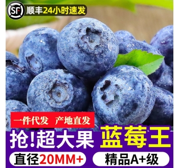 云南蓝莓新鲜当季水果蓝梅鲜果高山怡颗甜蓝莓8大果批发一件代发