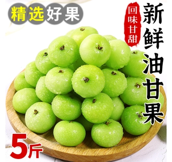 新鲜油甘果5斤余甘果牛甘子当季现摘油柑滇橄榄孕妇酸甜水果包邮