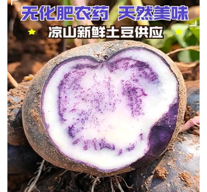新鲜七彩乌洋芋土豆10斤包邮现货农家高山迷你紫色小马铃薯
