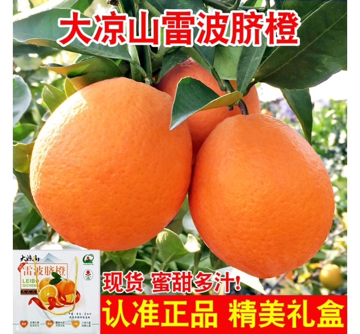 正宗四川大凉山雷波脐橙10斤大果整箱新鲜水果应季甜顺丰礼盒
