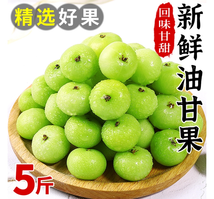 新鲜油甘果5斤余甘果牛甘子当季现摘油柑滇橄榄孕妇酸甜水果包邮
