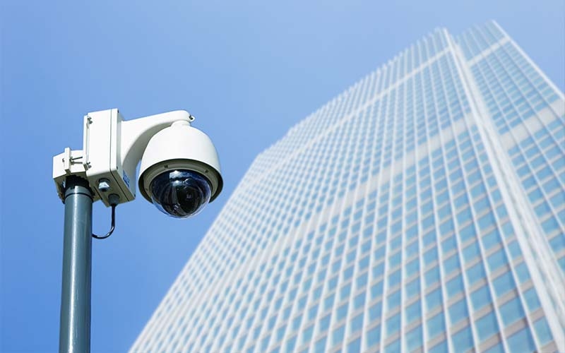 全国名特优新农产品集中亮相 助力农业高质量发展